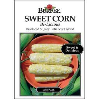 Burpee Sweet Corn Bicolored Sugary Enhancer Hybrid Bi Licious Seed 