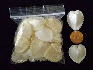 Small Warm White Heart Cockle Shells for Shell Craft or Valentines 