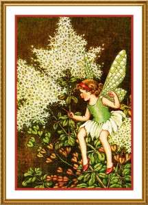 Thornbush Fairy by Ida Outhwaite Counted Cross Stitch Chart  