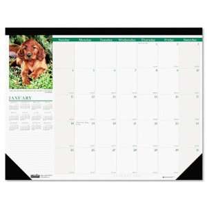  o House of Doolittle o   Puppies Monthly Desk Pad Calendar 