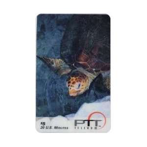   Collectible Phone Card $5. Turtle (Close up Photo) 