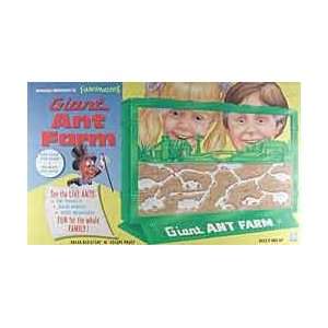  Giant Ant Farm Toys & Games