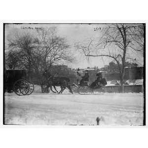 Photo Horse drawn carriages in Central Park, New York City 