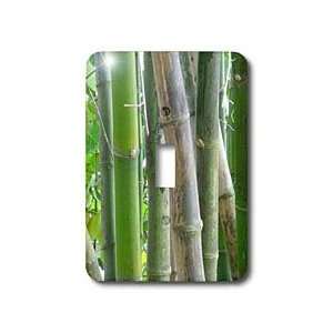  Florene Macro Plants   Pure Bamboo   Light Switch Covers 