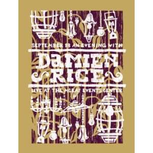 Damien Rice 2007 Silkscreen Concert Poster
