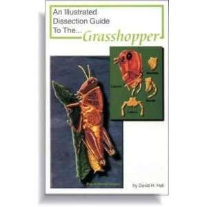   Dissection Guide Book To Grasshopper David Hall 