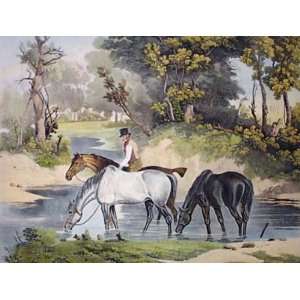 Horses Watering Etching Jones, Samuel John E Fellows, W Animals, Dogs 