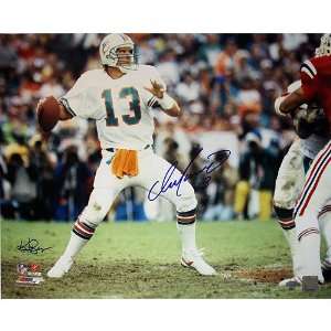  Steiner Sports NFL Miami Dolphins Dan Marino Dropping Back 