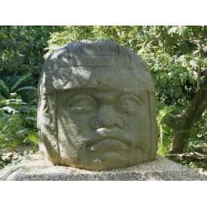  Olmec Stone Head at Parque Museo La Venta, Villahermosa 