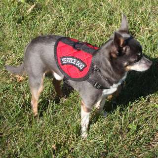 Small Service Dog Vest   Custom made for small dogs with 10 25 girth 