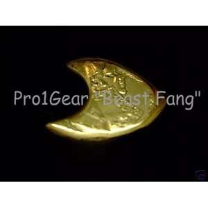  Pro1Gear Custom Coin Guitar Picks Beast Fang Everything 