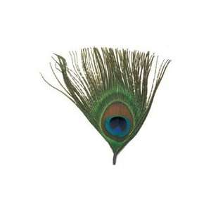 Natural Feather Picks 3/Pkg Peacock Eye
