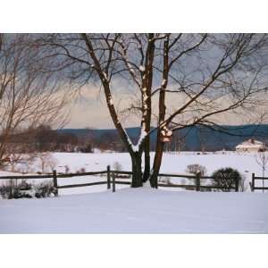 Pastoral View of a Farm Covered in Snow National Geographic Collection 